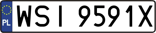 WSI9591X