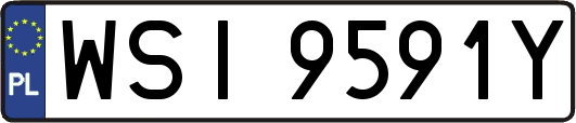 WSI9591Y