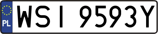 WSI9593Y