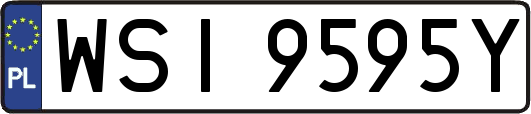 WSI9595Y