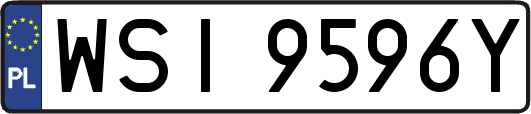 WSI9596Y