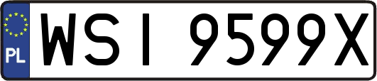WSI9599X