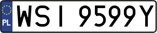 WSI9599Y