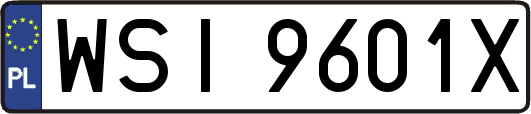 WSI9601X