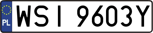 WSI9603Y