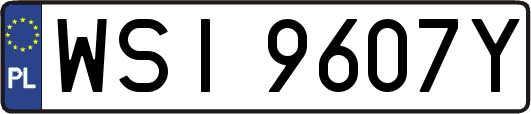 WSI9607Y