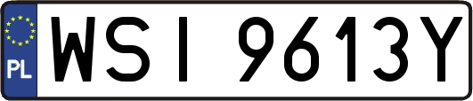 WSI9613Y