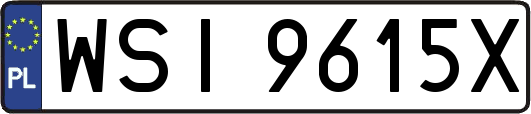 WSI9615X