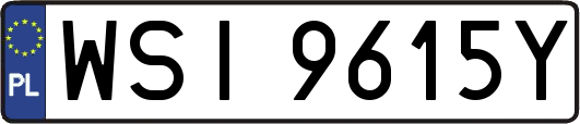 WSI9615Y