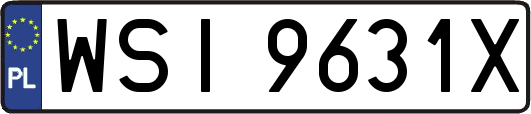 WSI9631X