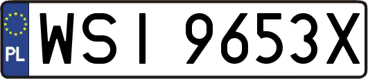 WSI9653X