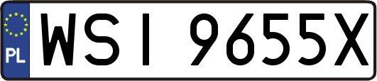 WSI9655X