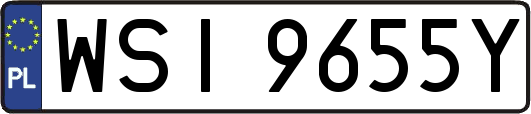 WSI9655Y