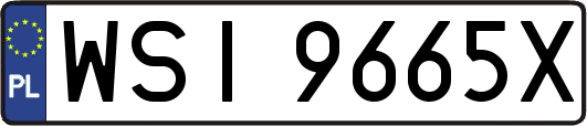 WSI9665X