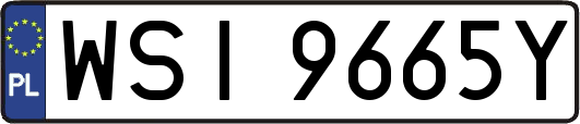 WSI9665Y