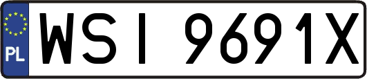 WSI9691X