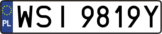 WSI9819Y