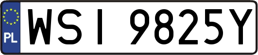 WSI9825Y