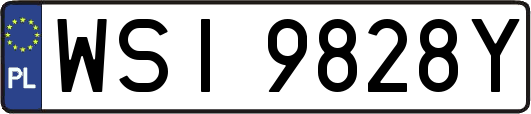 WSI9828Y