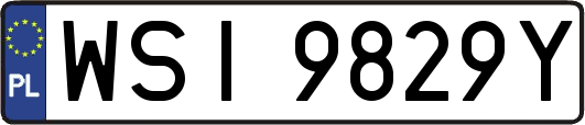 WSI9829Y