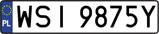 WSI9875Y