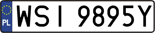 WSI9895Y