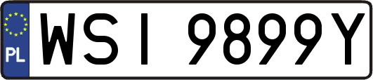 WSI9899Y