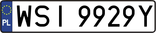 WSI9929Y