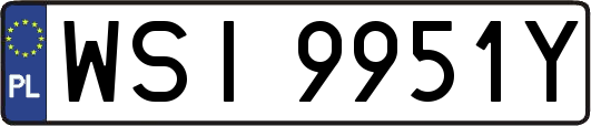 WSI9951Y