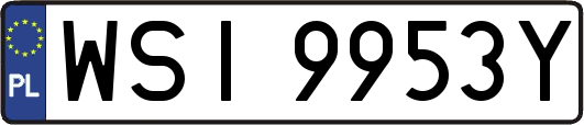 WSI9953Y