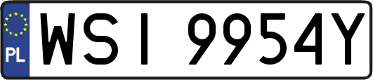 WSI9954Y