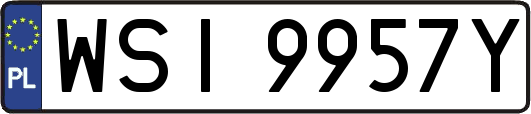 WSI9957Y