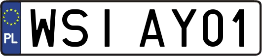 WSIAY01