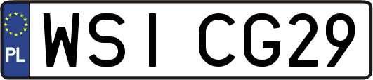 WSICG29