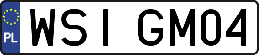 WSIGM04