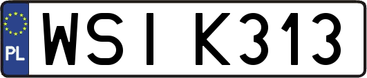 WSIK313