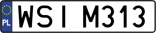 WSIM313