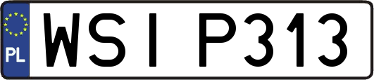 WSIP313