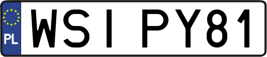 WSIPY81
