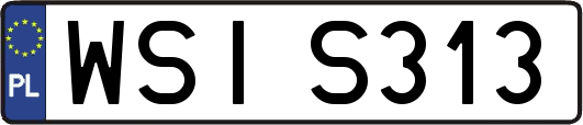 WSIS313