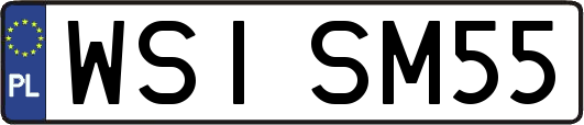 WSISM55