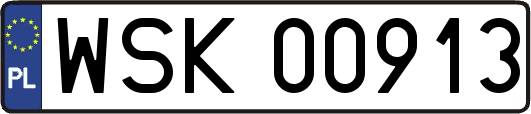WSK00913