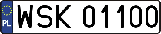 WSK01100