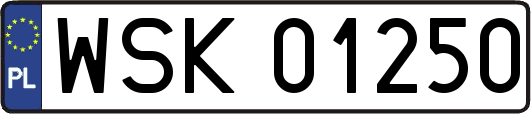 WSK01250