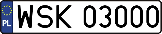 WSK03000