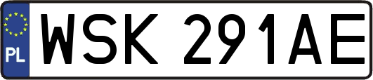 WSK291AE