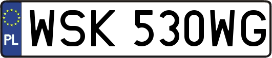 WSK530WG