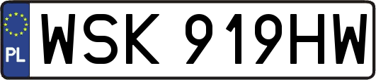 WSK919HW