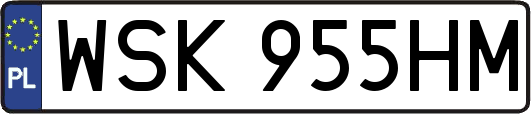 WSK955HM