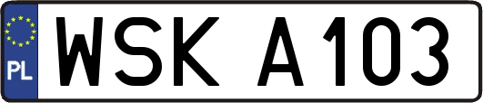 WSKA103